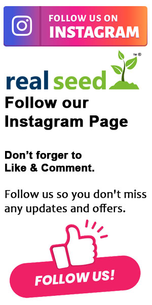 Real Seed Instagram Page Link