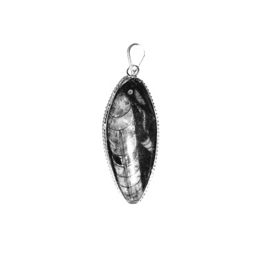 Natural Crystal Orthoceras Fossil Polished Kuber Stone Pendant, Orthoceras Cabochone, Finance Stone for Success and Reduces Stress Reiki Energy Crystal