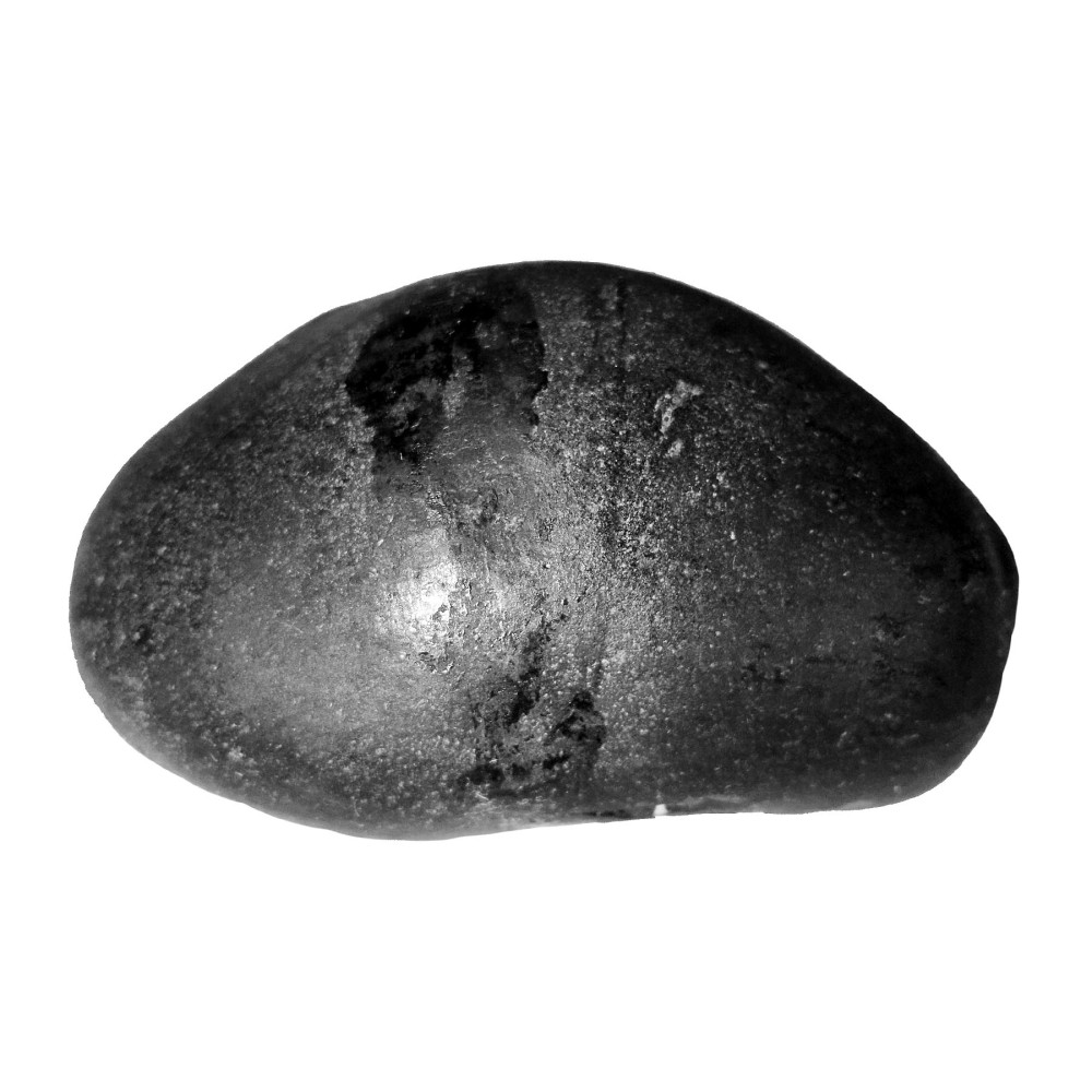 Laxmi Narayan Shaligram Shila from Gandaki River, Nepal | Size - 6.9 x 4.3 x 3.6 CMS Weight - 151.20 GMS