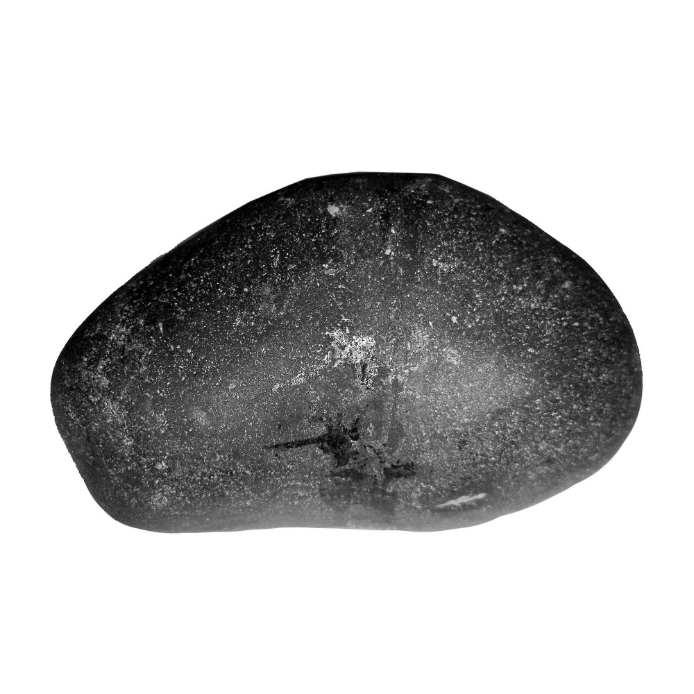 Laxmi Narayan Shaligram Shila from Gandaki River, Nepal | Size - 6.9 x 4.3 x 3.6 CMS Weight - 151.20 GMS