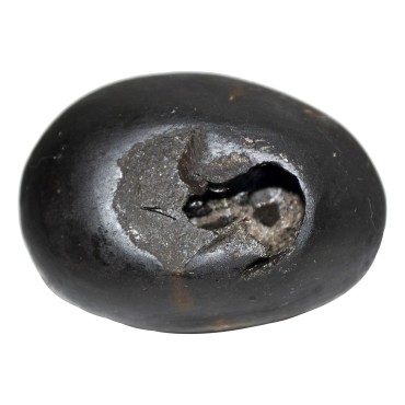 Laxmi Narayan Shaligram Shila from Gandaki River, Nepal | Size - 5 x 3.5 x 3 CMS Weight - 83.00 GMS