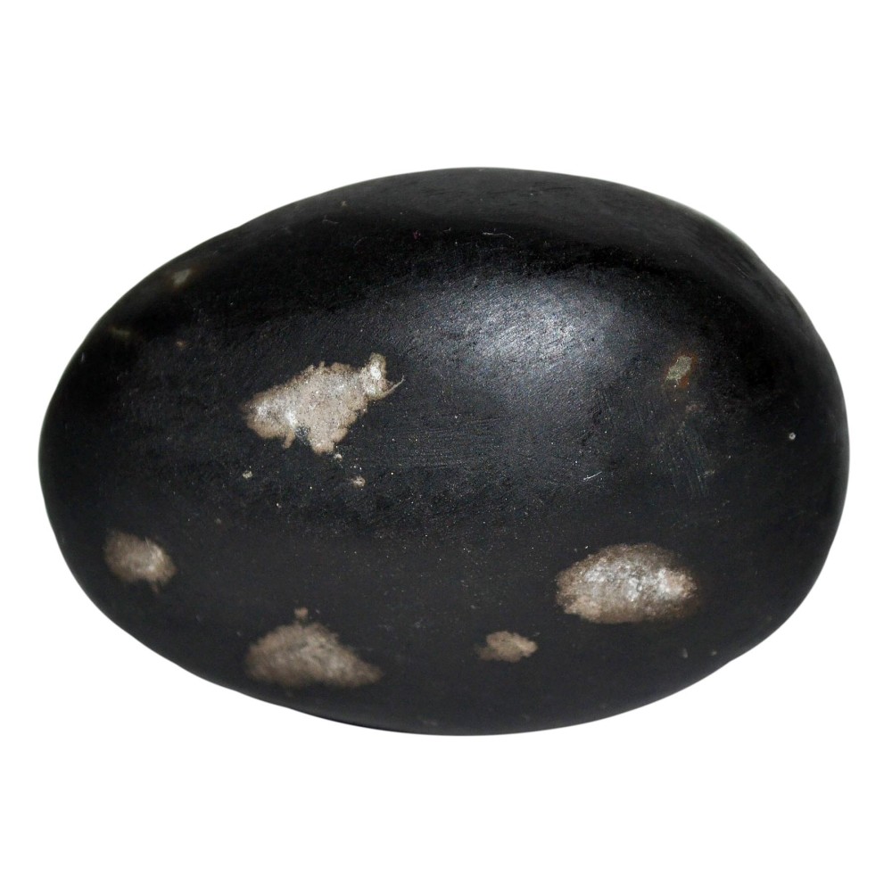 Laxmi Narayan Shaligram Shila from Gandaki River, Nepal | Size - 5 x 3.5 x 3 CMS Weight - 83.00 GMS