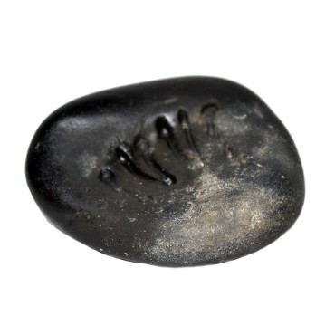 Vishnu Padam, Narayan Shaligram Shila from Gandaki River, Nepal | Size - 4.7 x 4.7 x 2.2 CMS Weight - 57.00 GMS