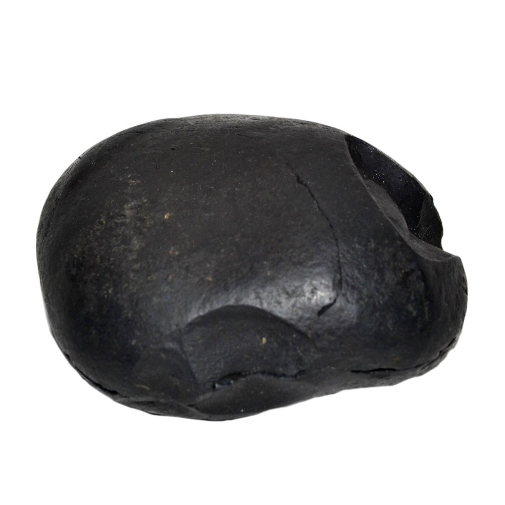 Narayan Shila with Gold, Laxmi Narayan Shaligram Shila from Gandaki River, Nepal | Size - 10.5 x 9 x 5 CMS Weight - 670.00 GMS