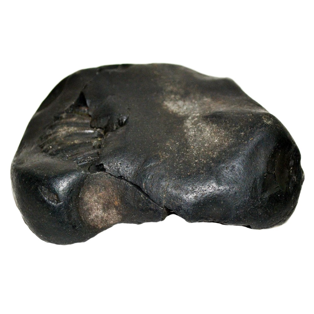 Laxmi Narayan Shaligram Shila from Gandaki River, Nepal | Size - 10 x 8 x 4.5 CMS | Weight - 394.00 GMS