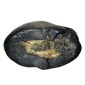 Ardhaa Chandrama Shala, Laxmi Narayan Shaligram Shila from Gandaki River, Nepal | Size - 9 x 6.5 x 5 CMS | Weight - 327.00 GMS