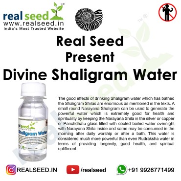 Shaligram Water from Shaligram Shala This Gandaki River Holy Water - 60ML (Not for Drinking)