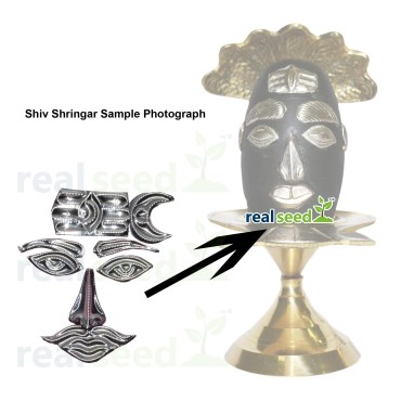 Silver Shiv Shringar for 4-5 Inches Stone or Sphatik Shivling | Shringar Chart Size - 7 x 5.5 CM